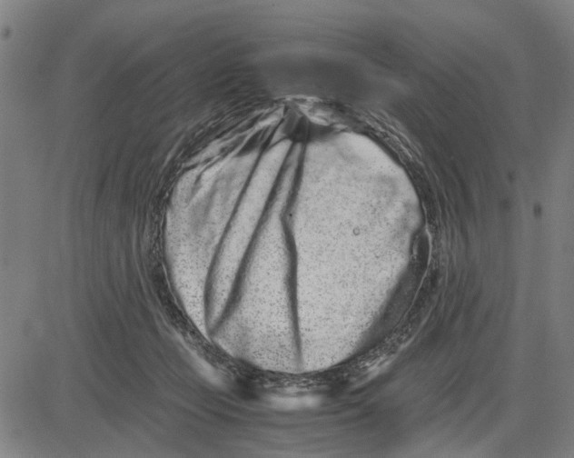 X0000081430365200702021658