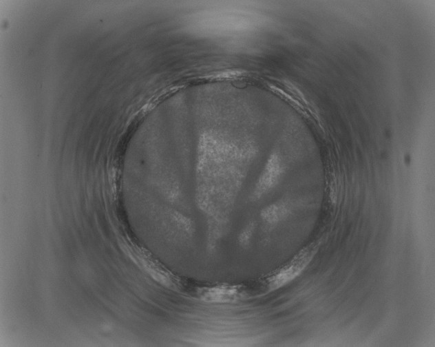 X0000081430366200702021658