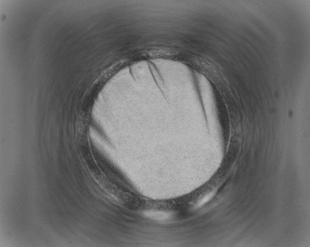 X0000081430367200702021658