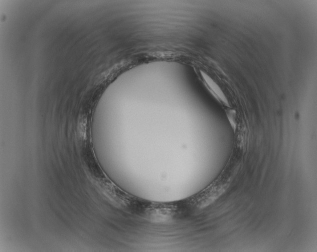 X0000081430368200702021658