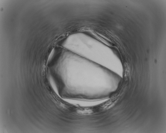 X0000081430369200702021658