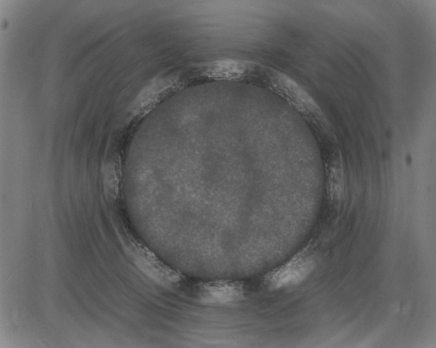 X0000081430370200702021658