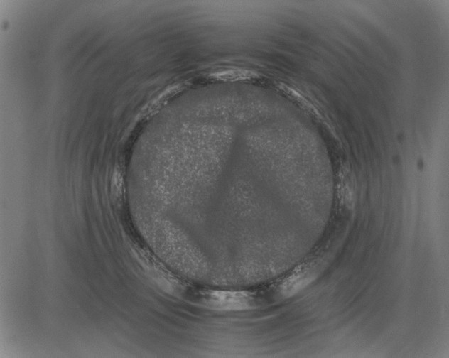 X0000081430371200702021658