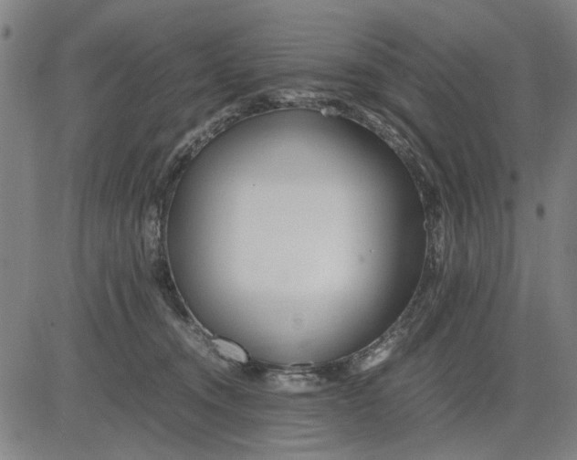 X0000081430372200702021658