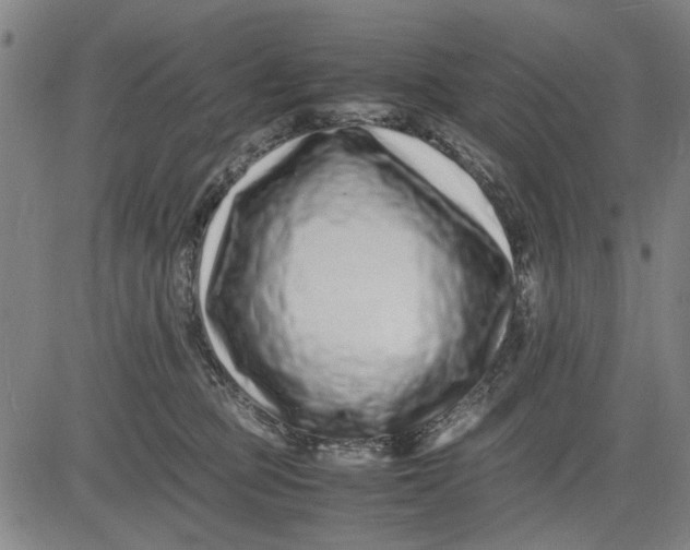 X0000081430373200702021658