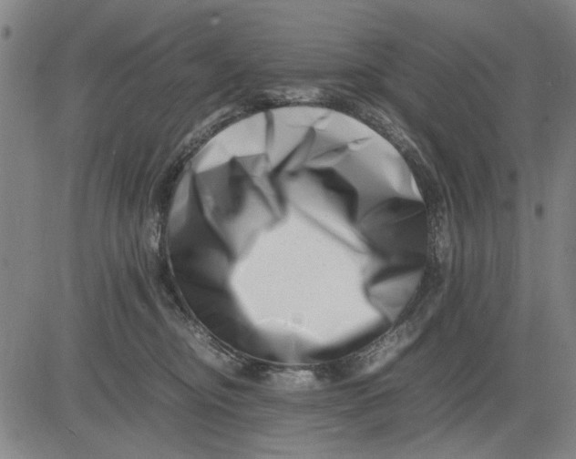 X0000081430374200702021658