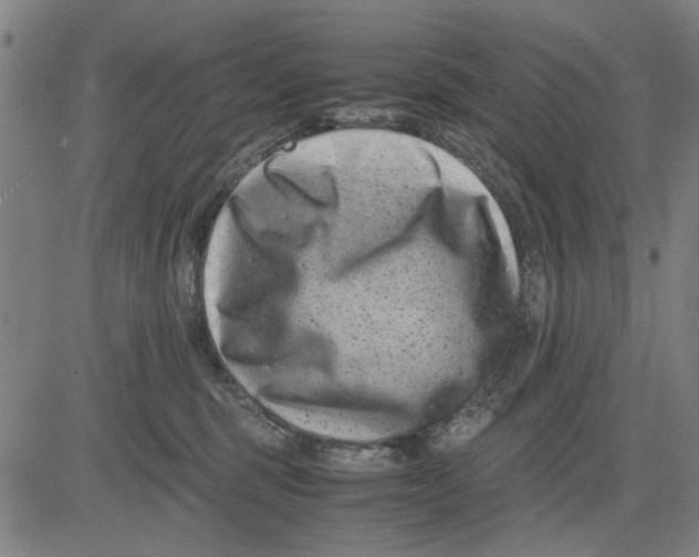 X0000081430375200702021658