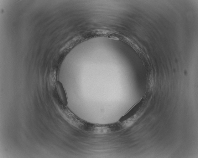 X0000081430376200702021658