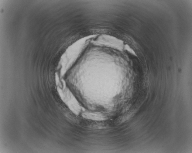 X0000081430377200702021658