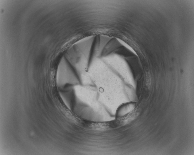 X0000081430378200702021658