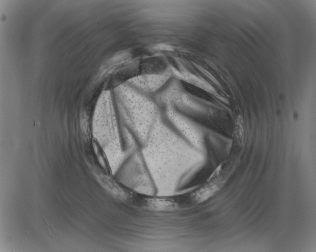 X0000081430380200702021658