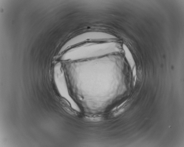 X0000081430381200702021658