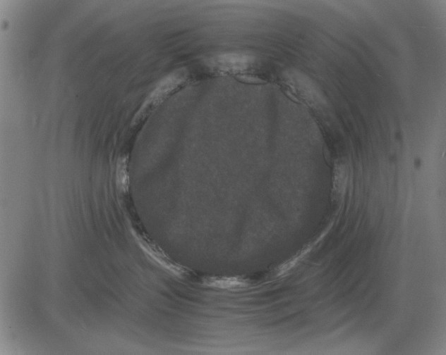 X0000081430383200702021658