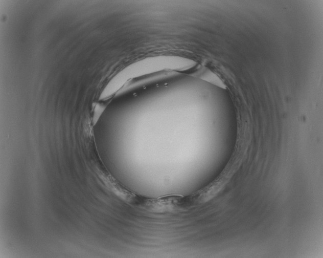 X0000081430384200702021658