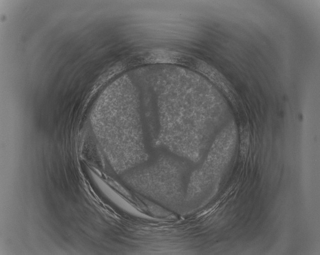 X0000081430386200702021658