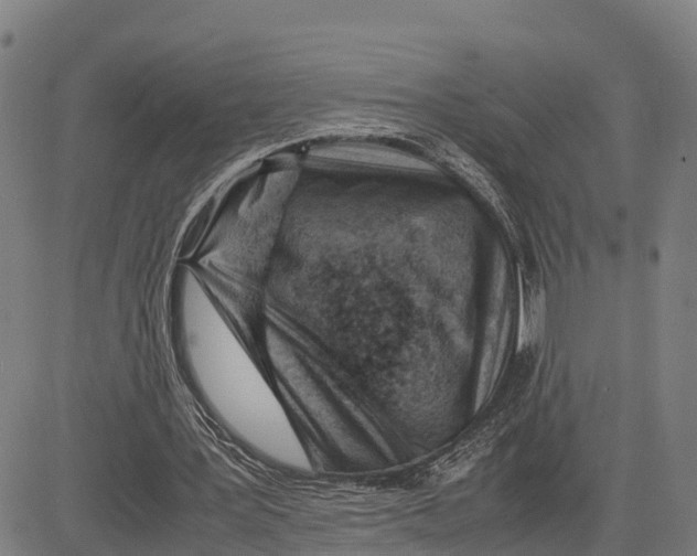 X0000081430387200702021658