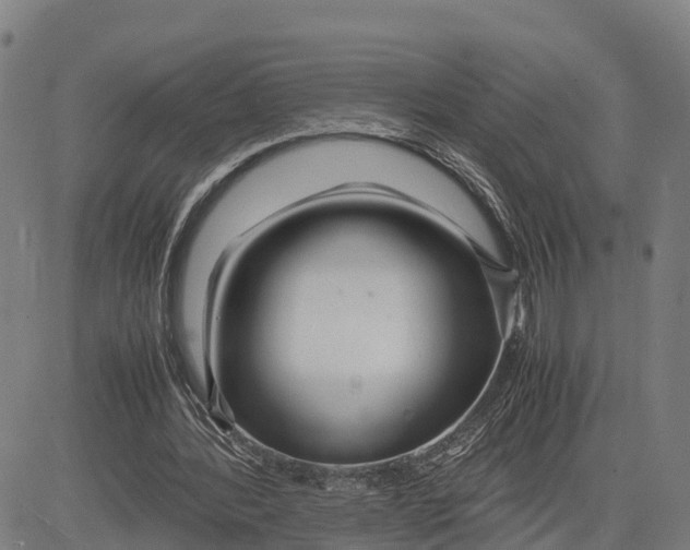 X0000081430388200702021658