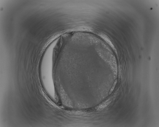 X0000081430389200702021658