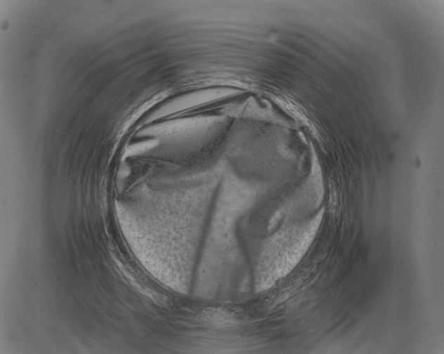 X0000081430390200702021658