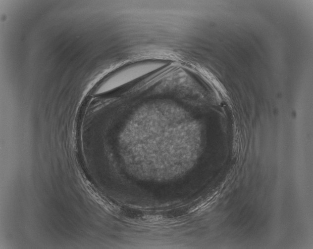 X0000081430391200702021658