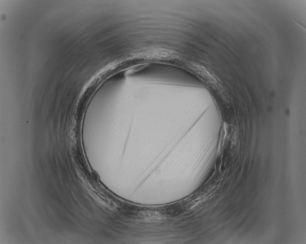 X0000081430392200702021658