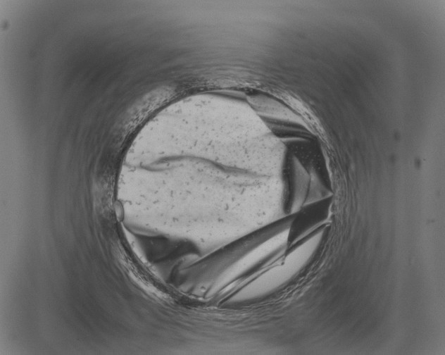 X0000081430393200702021657