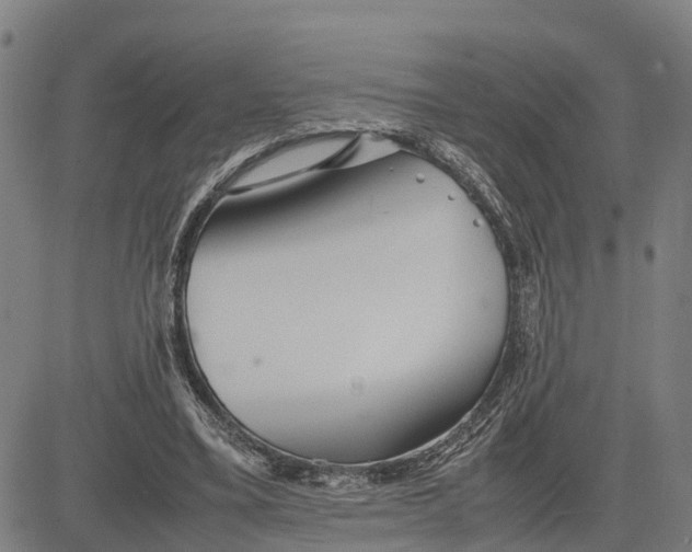 X0000081430395200702021657