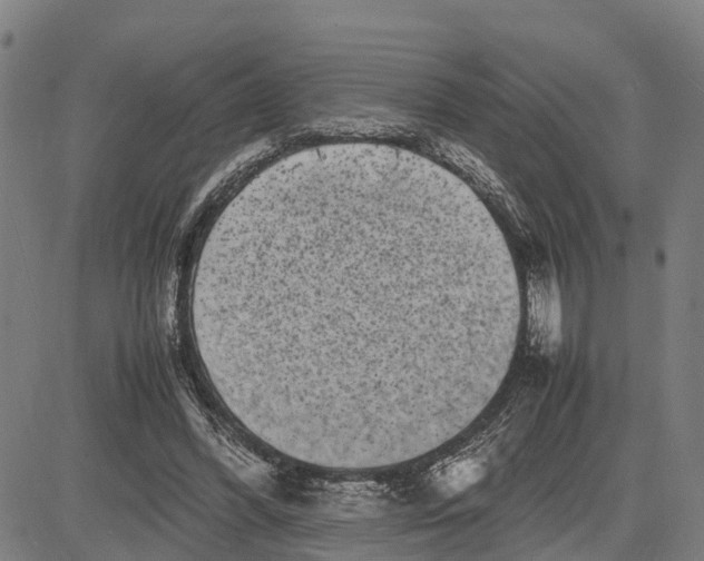 X0000081430396200702021657