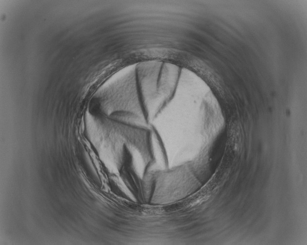 X0000081430398200702021657