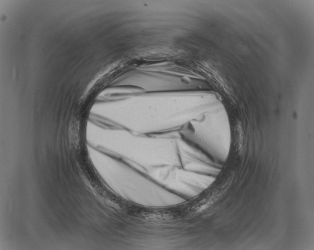 X0000081430400200702021657