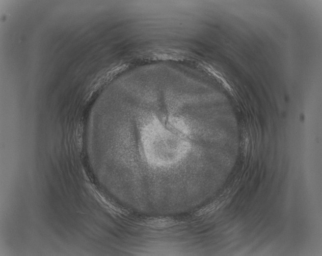 X0000081430402200702021657