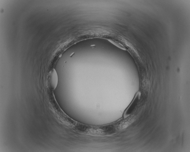 X0000081430403200702021657