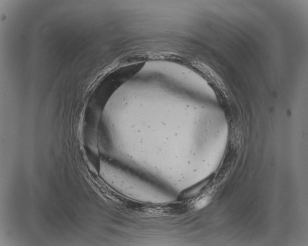 X0000081430405200702021657