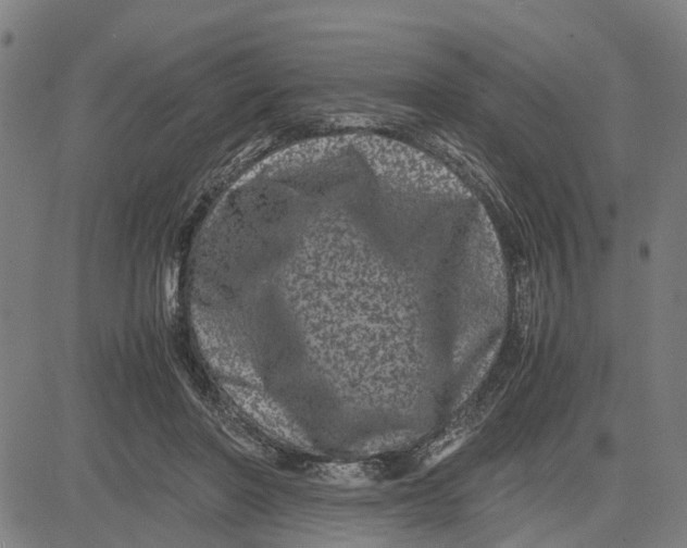 X0000081430406200702021657