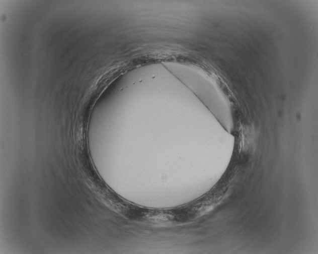 X0000081430407200702021657