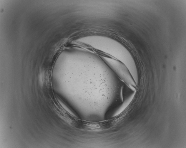 X0000081430409200702021657