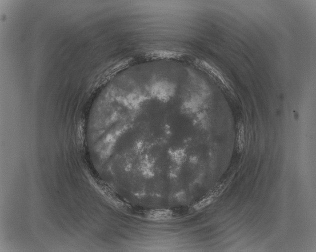 X0000081430410200702021657