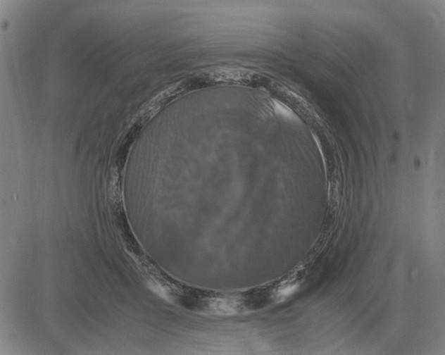 X0000081430411200702021657