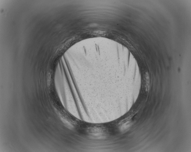 X0000081430412200702021657