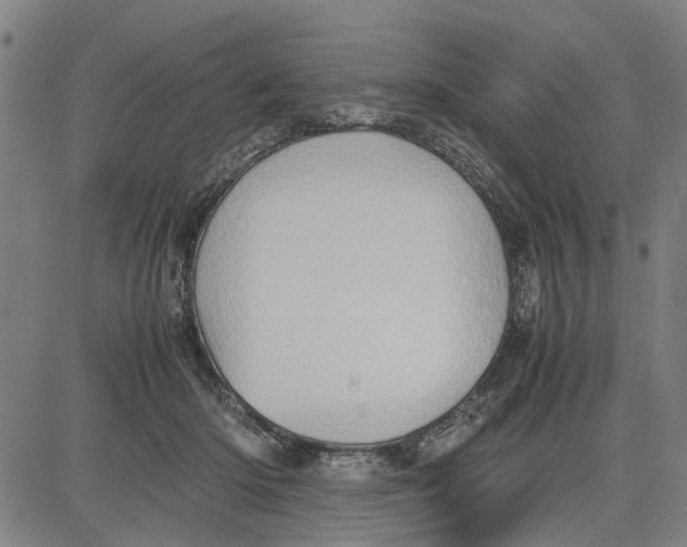 X0000081430414200702021657