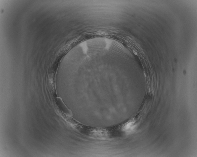 X0000081430415200702021657