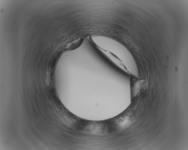 X0000081430416200702021657