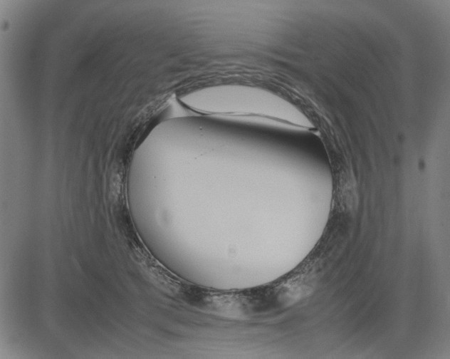 X0000081430417200702021657