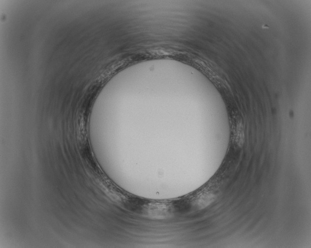 X0000081430418200702021657