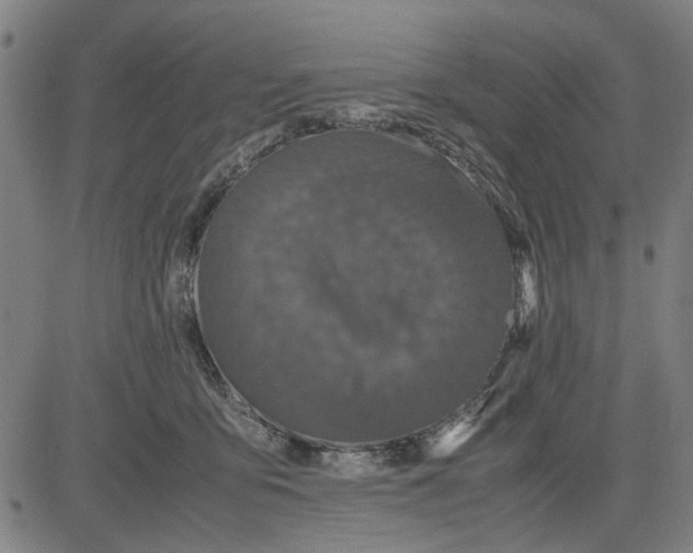 X0000081430419200702021657