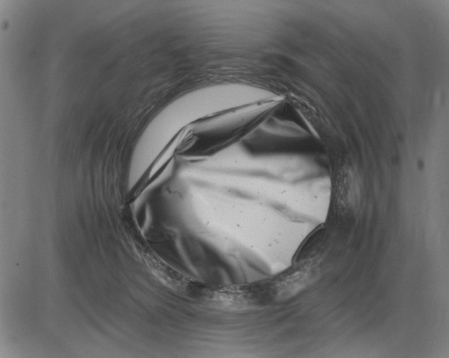 X0000081430420200702021657