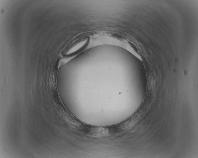 X0000081430421200702021657