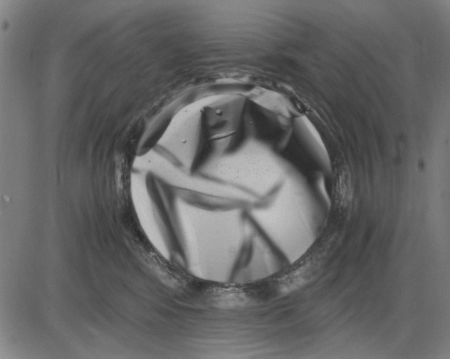 X0000081430424200702021657