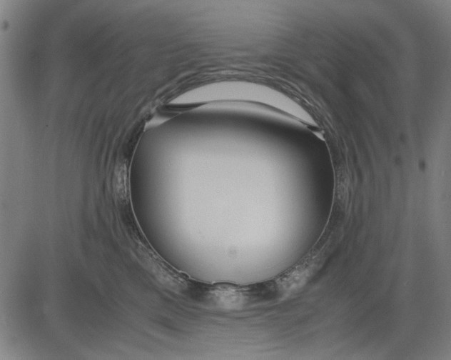 X0000081430425200702021657