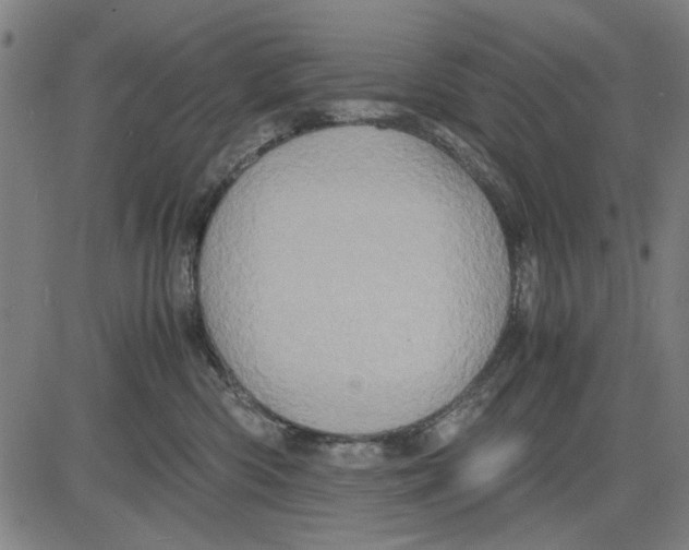 X0000081430426200702021657